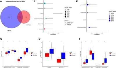 A new ferroptosis-related genetic mutation risk model predicts the prognosis of skin cutaneous melanoma